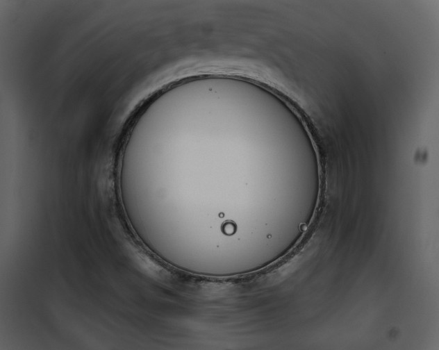 X0000101971498200807181052