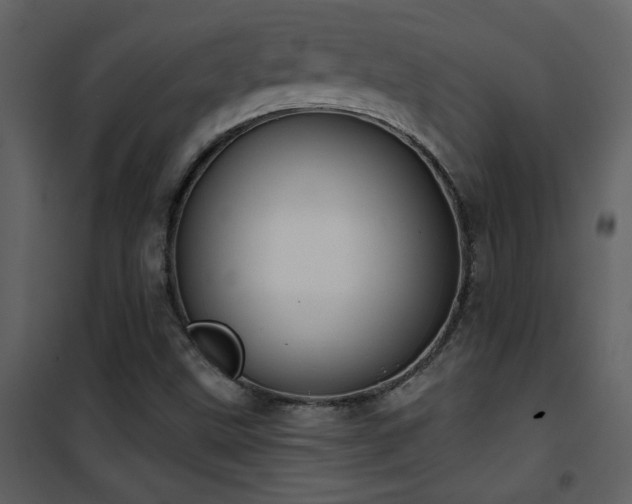 X0000101971499200807181052