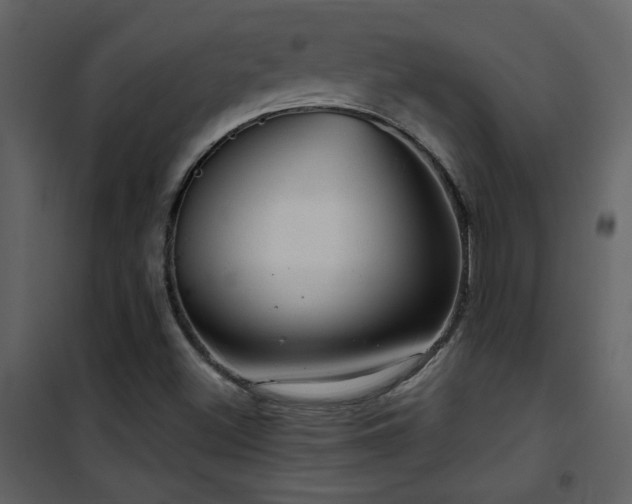 X0000101971500200807181052