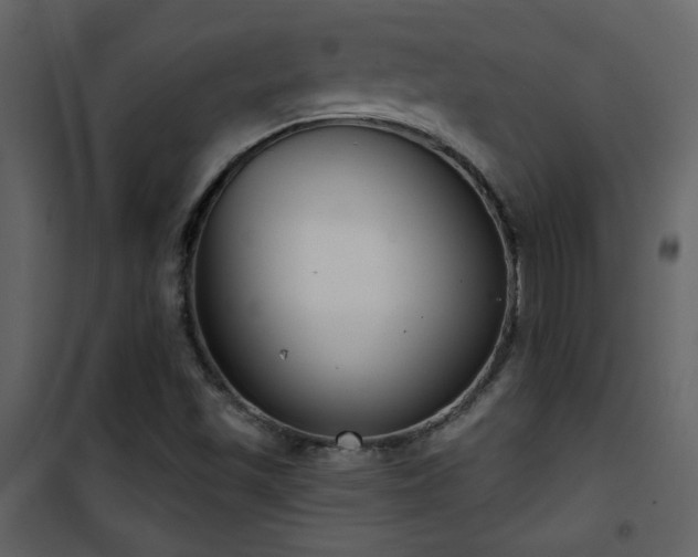 X0000101971501200807181052