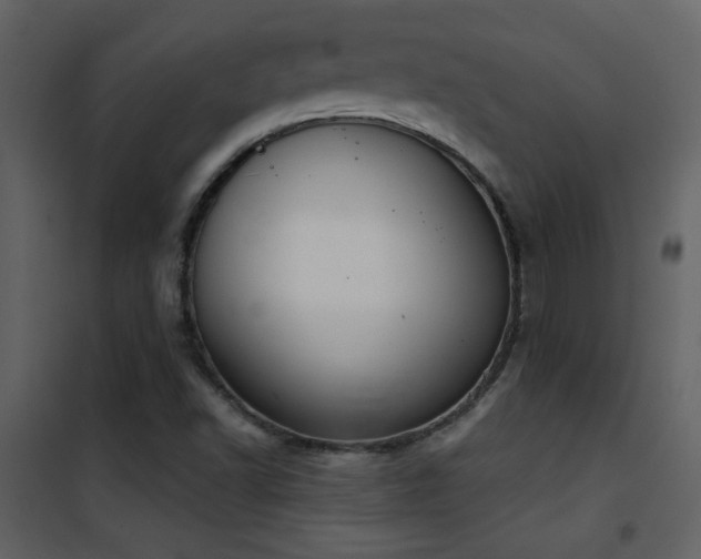 X0000101971502200807181052