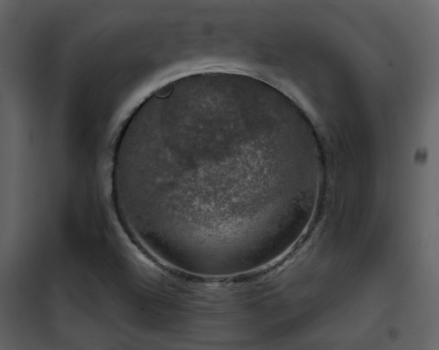 X0000101971504200807181052