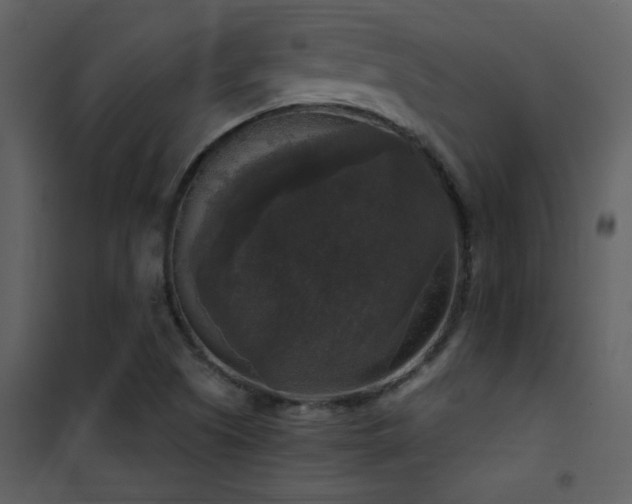 X0000101971505200807181052