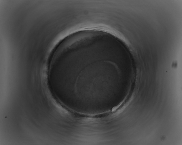 X0000101971506200807181052