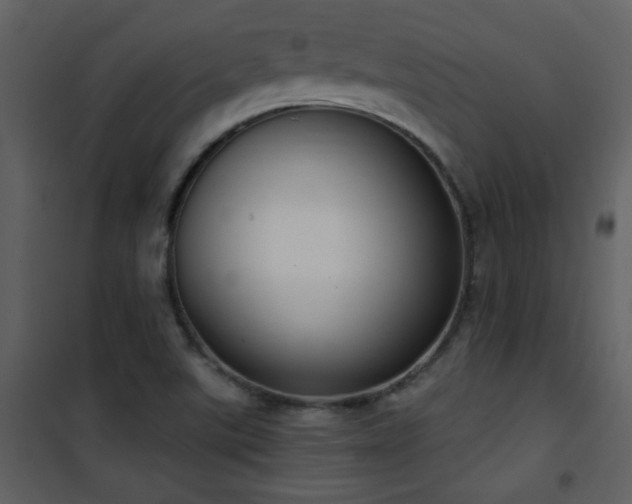 X0000101971507200807181052