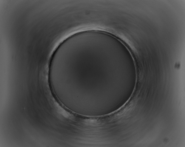 X0000101971508200807181052