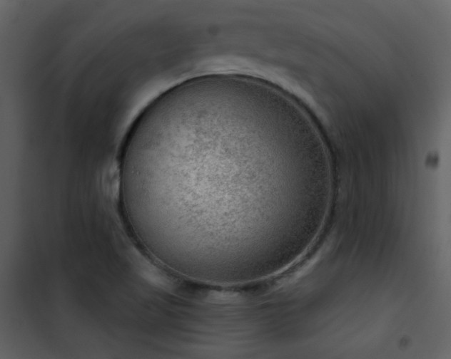 X0000101971509200807181052