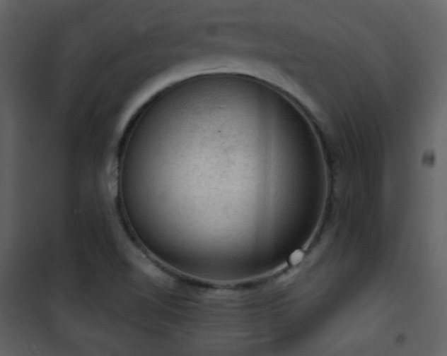 X0000101971510200807181052
