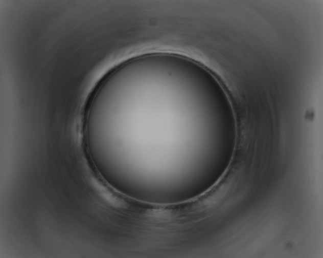 X0000101971511200807181052