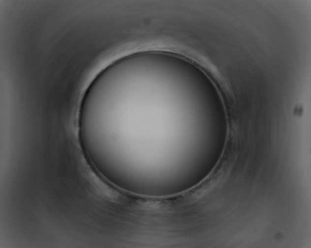 X0000101971512200807181052