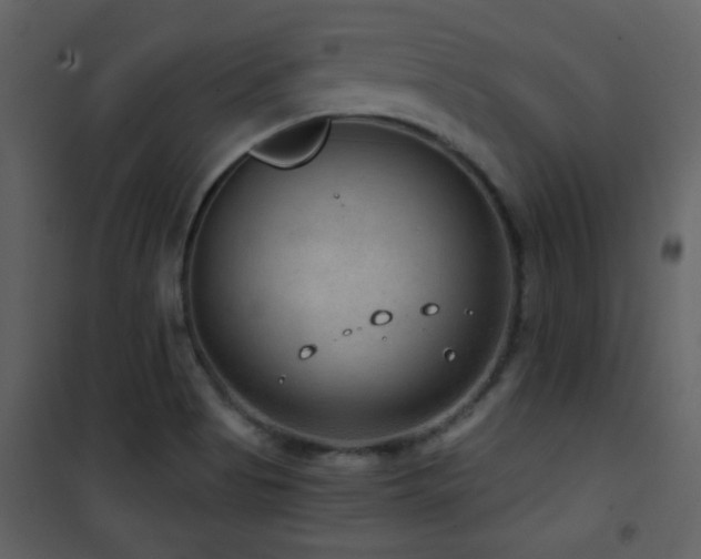 X0000101971513200807181052