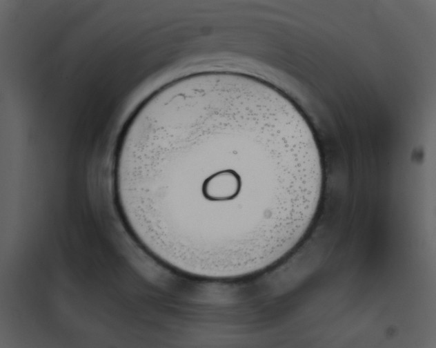 X0000101971514200807181052