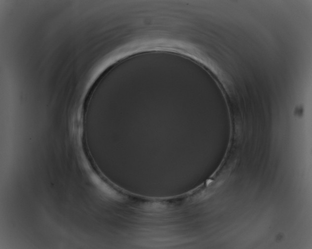 X0000101971515200807181052