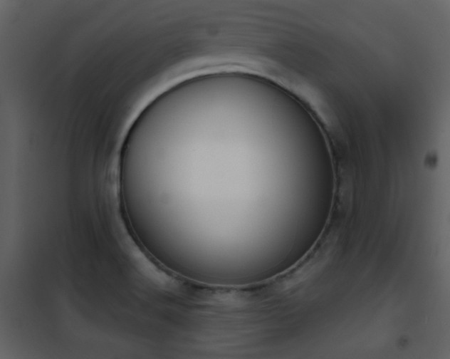 X0000101971516200807181052