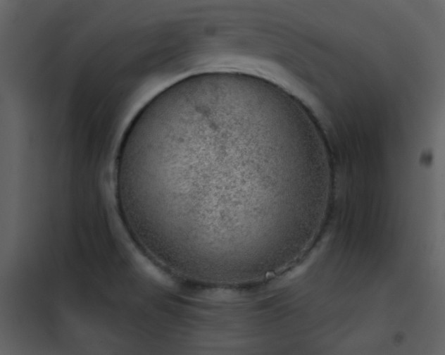 X0000101971517200807181052
