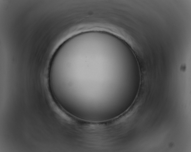 X0000101971518200807181052