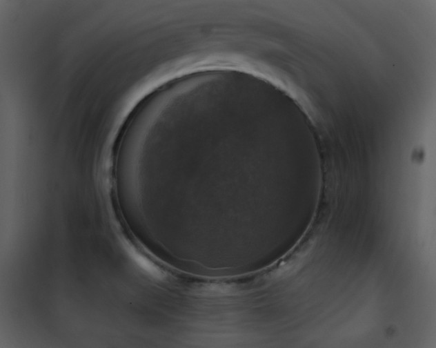 X0000101971519200807181052