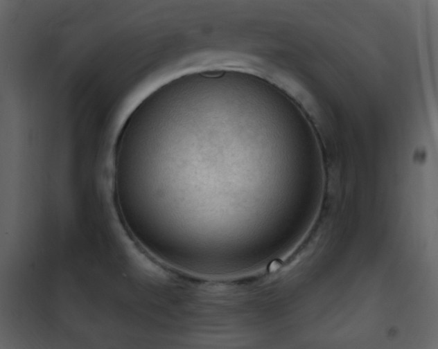 X0000101971520200807181052