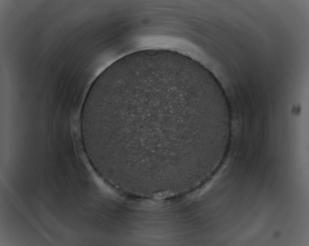 X0000101971521200807181052