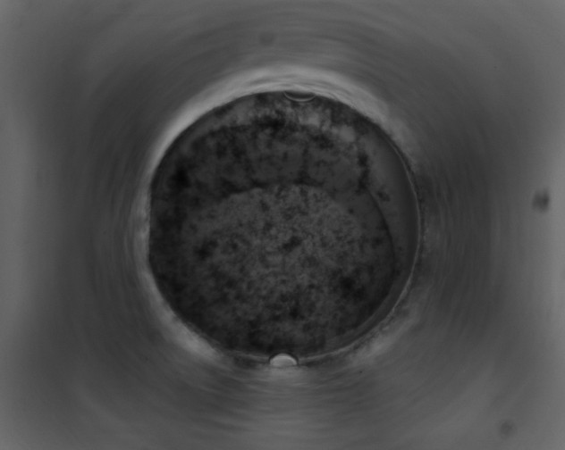 X0000101971522200807181052