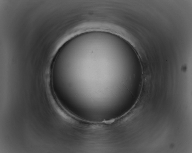 X0000101971523200807181052