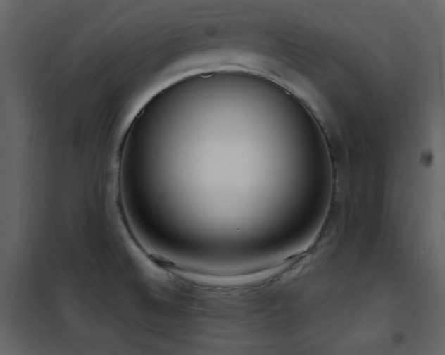 X0000101971524200807181052