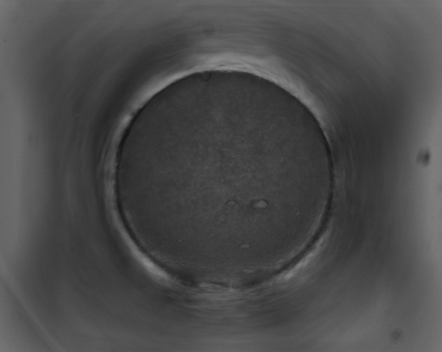 X0000101971525200807181052