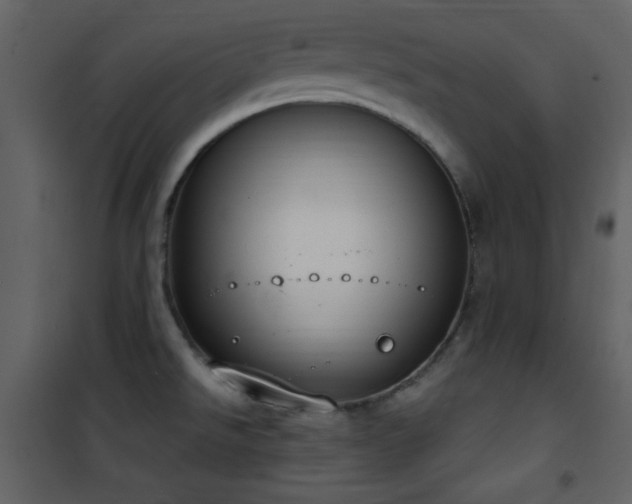 X0000101971526200807181052