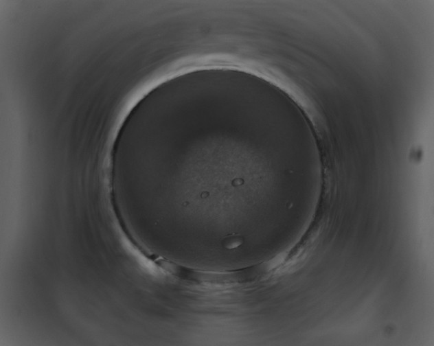 X0000101971527200807181052