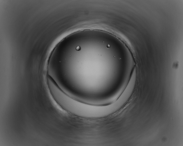 X0000101971528200807181052