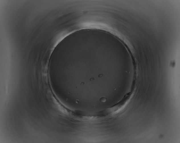 X0000101971529200807181052