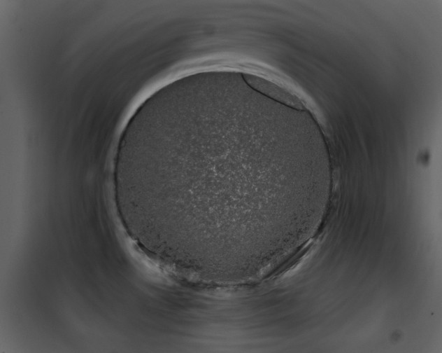 X0000101971530200807181052
