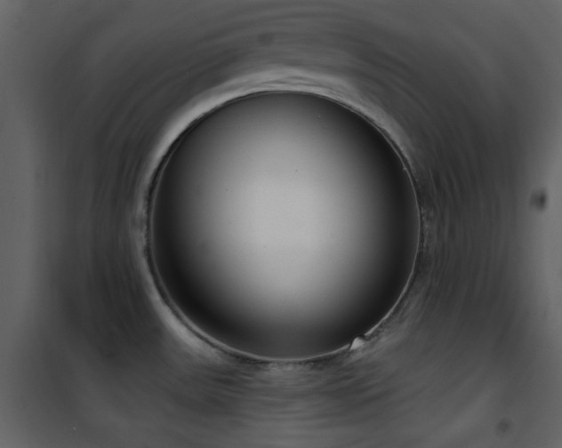 X0000101971531200807181052