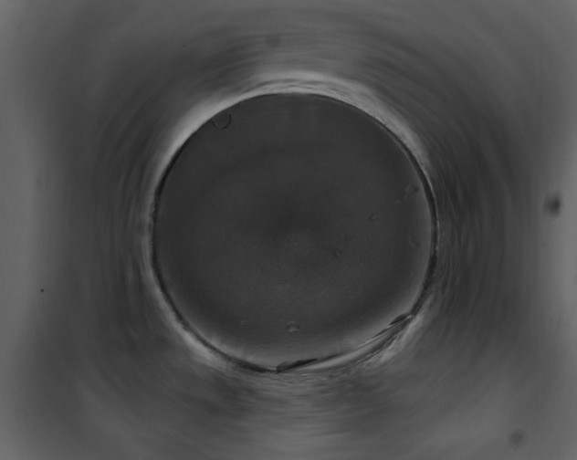 X0000101971533200807181052