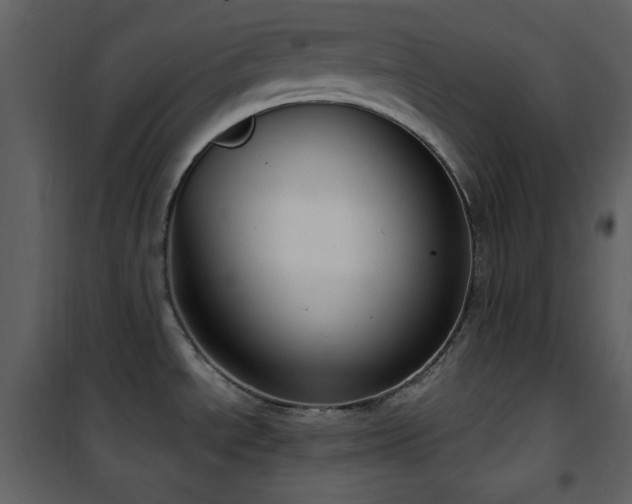 X0000101971534200807181052