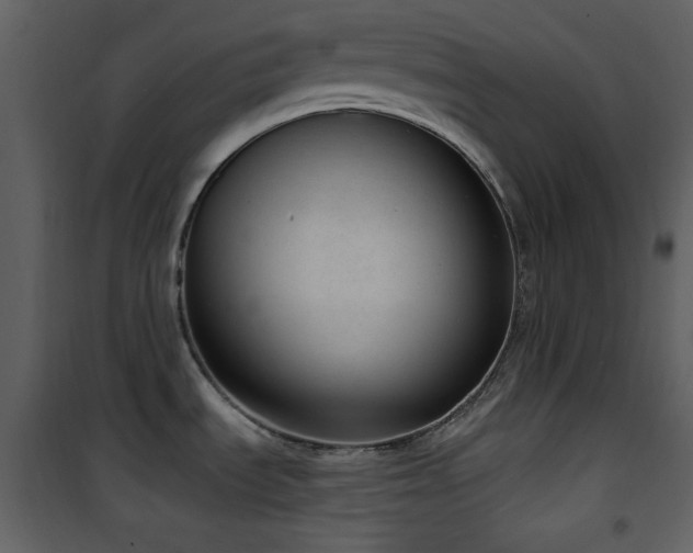X0000101971535200807181052