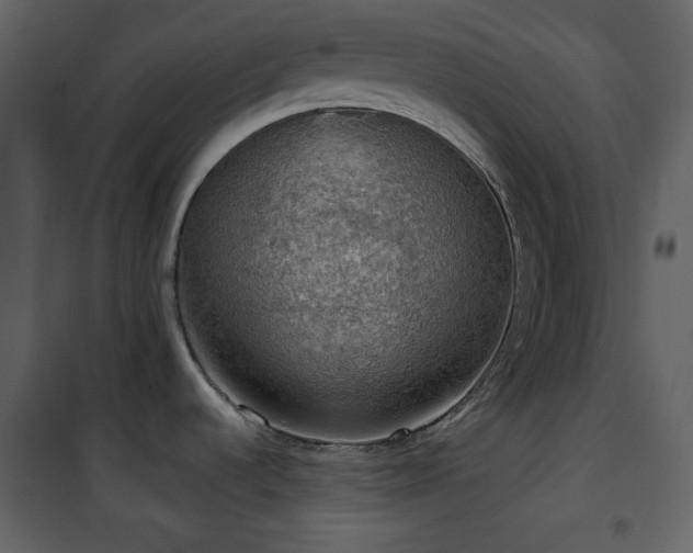 X0000101971536200807181052