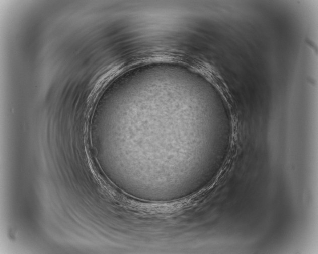 X0000101970001200807251221