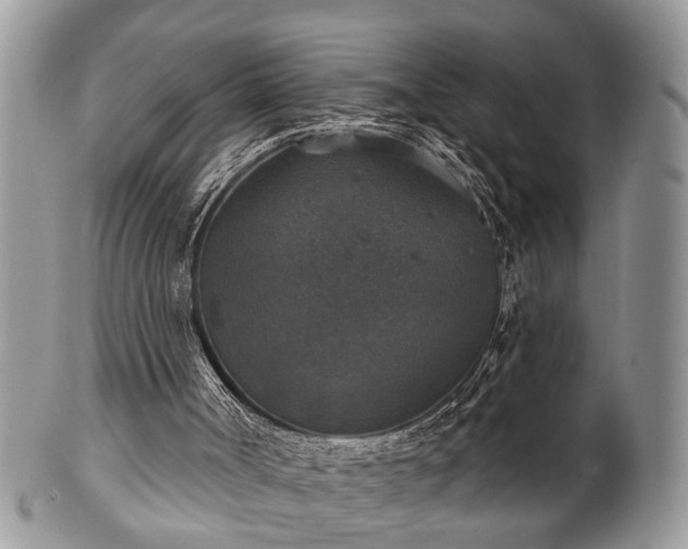 X0000101970002200807251221