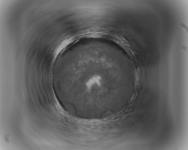 X0000101970003200807251221