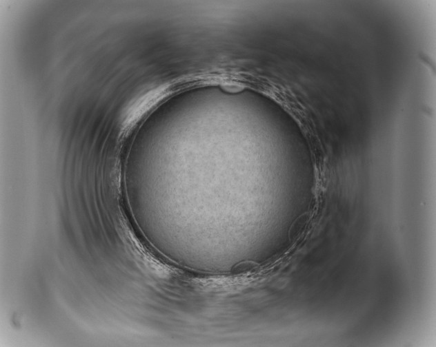 X0000101970005200807251221