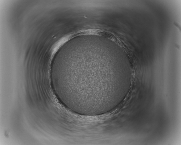 X0000101970006200807251221