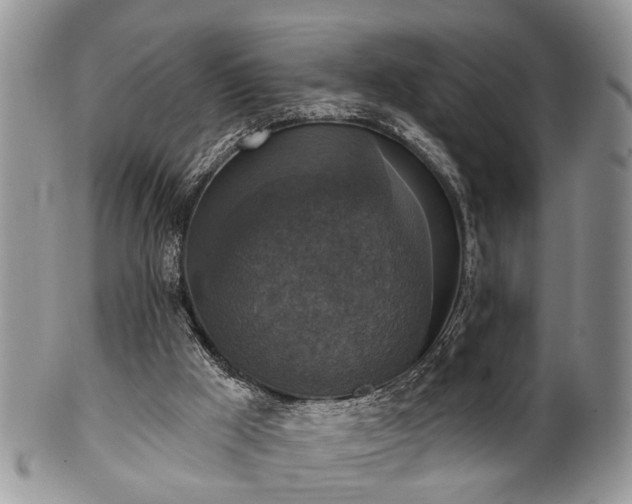 X0000101970009200807251221