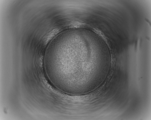 X0000101970010200807251221