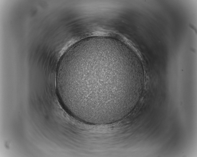 X0000101970011200807251221