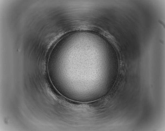 X0000101970012200807251221