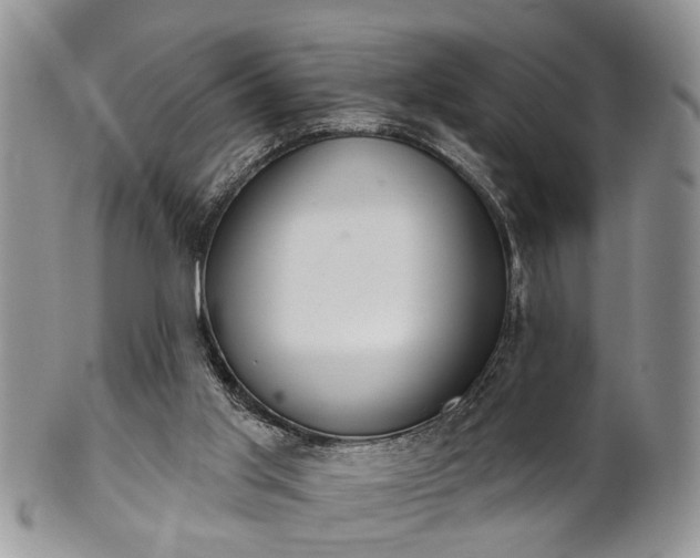 X0000101970013200807251221