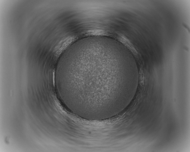 X0000101970014200807251221