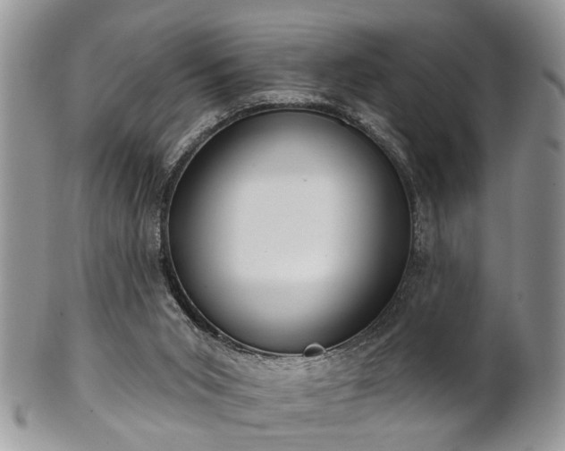 X0000101970015200807251221
