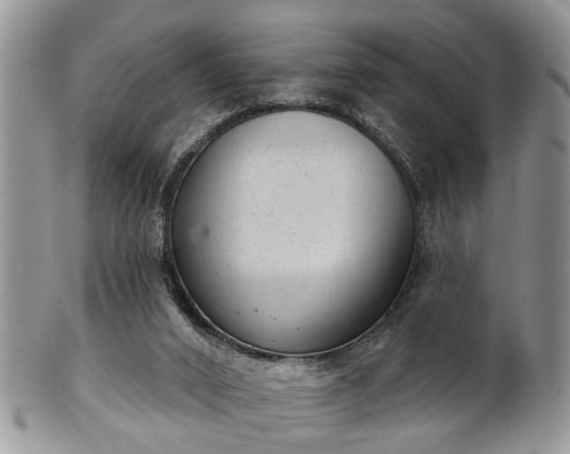 X0000101970016200807251221